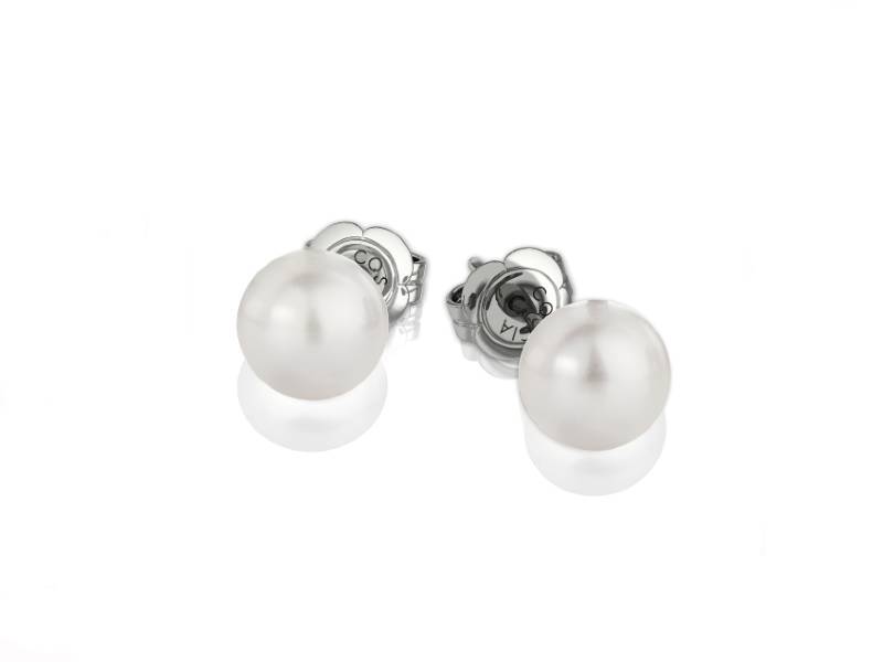 AKOYA PEARLS AA+ AND WHITE GOLD EARRINGS COSCIA LBPFAK